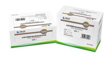 分枝桿菌菌種鑒定基因檢測(cè)試劑盒